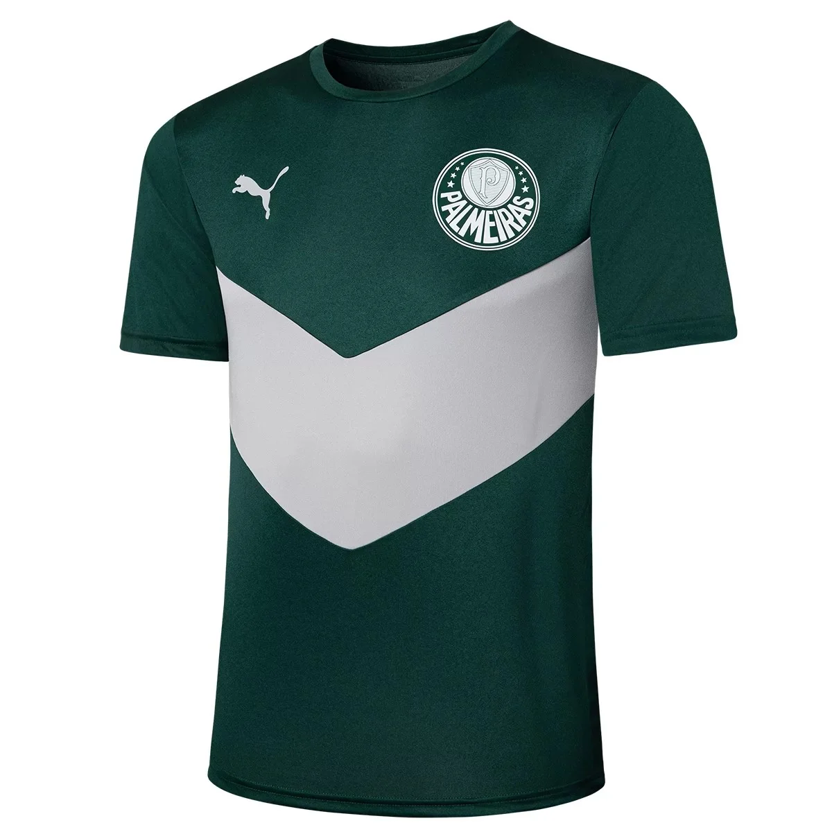 Camisa Palmeiras Treino 22/23 Masculina