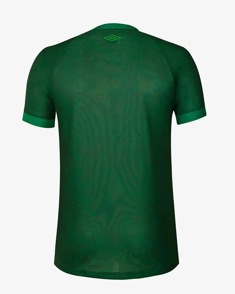 Nova Camisa Chapecoense Third Verde 50 Anos 2023/24 Masculina - Image 3