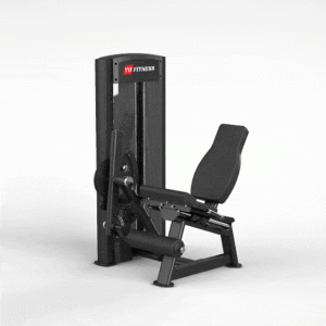 Leg Extension