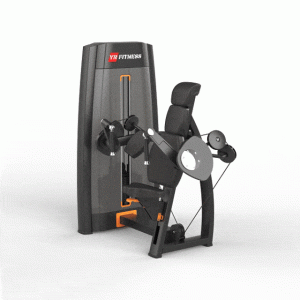Triceps Extension